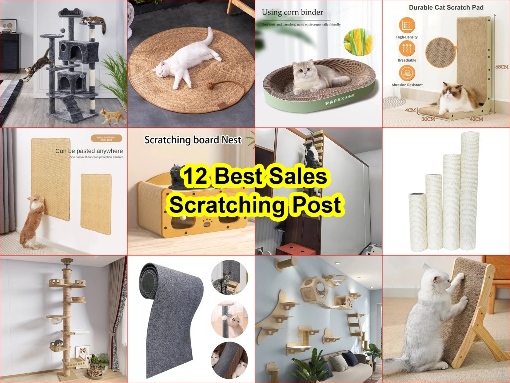 best cat scratchers