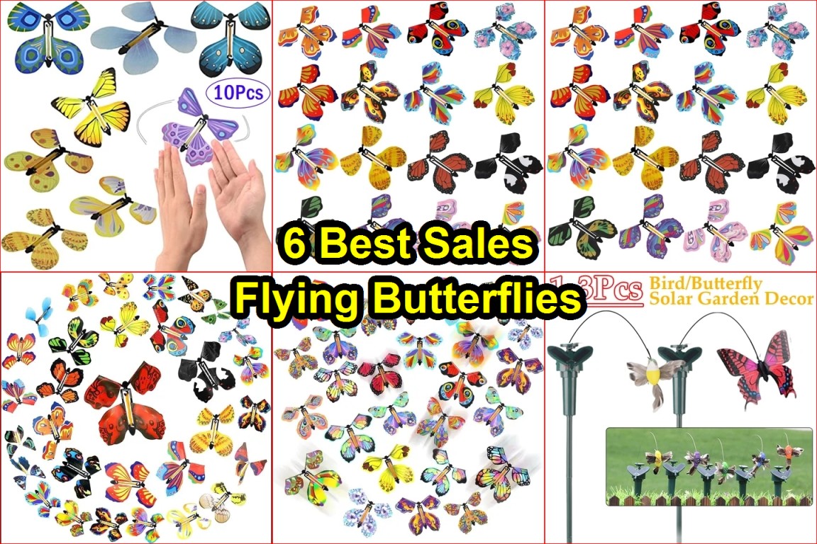 magic flying butterflies