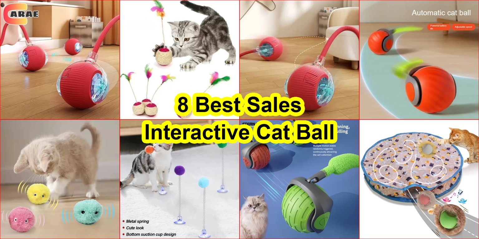 best cat toys 2025