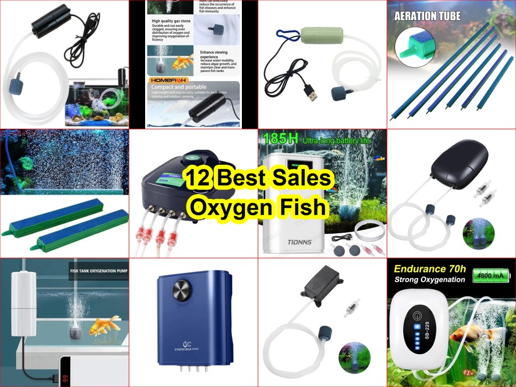 USB fish tank air pump