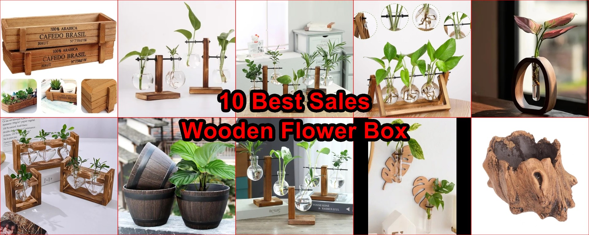 hydroponic vase AliExpress