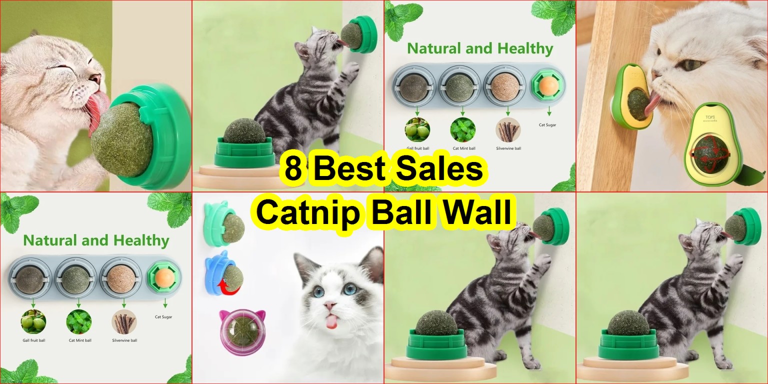 catnip wall ball toys