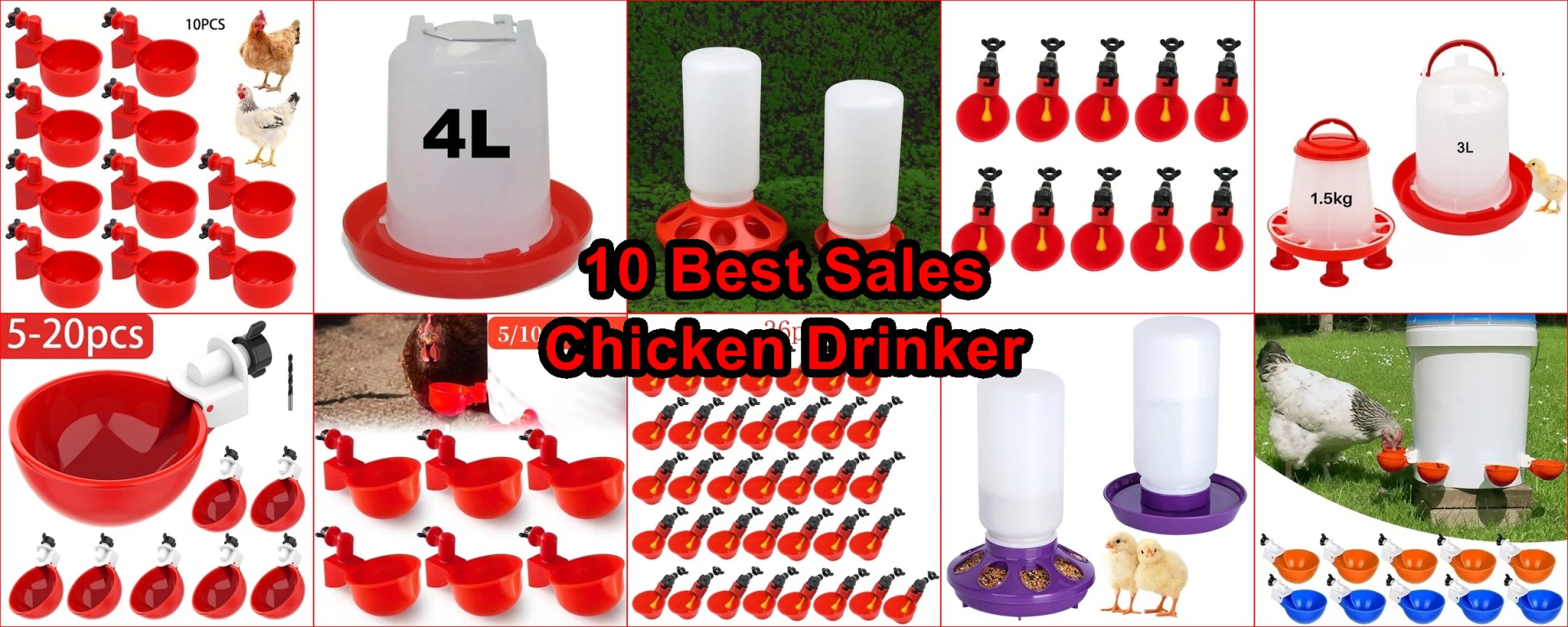 chicken drinker review