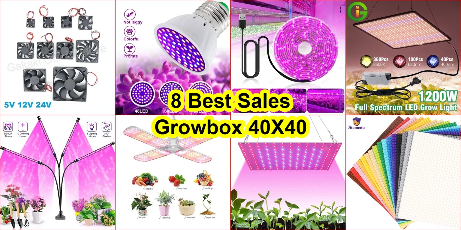 best AliExpress buys 2025