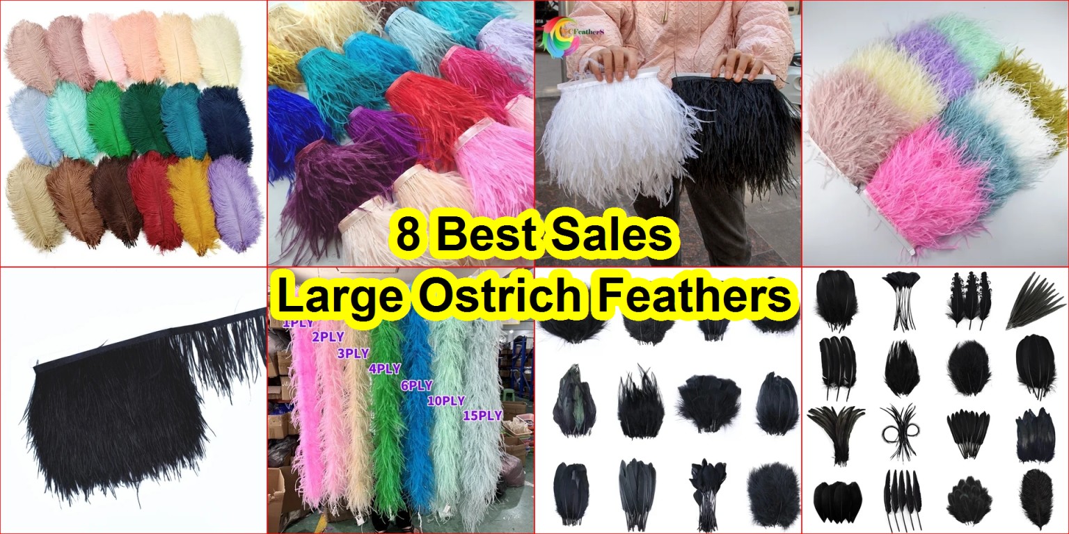 ostrich feather crafts