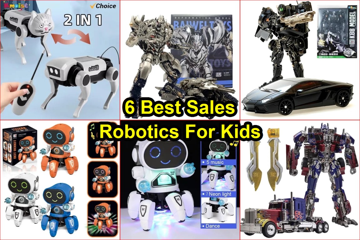 RC robot review