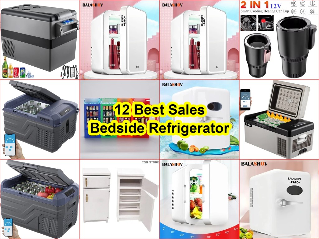 best car refrigerator 2025