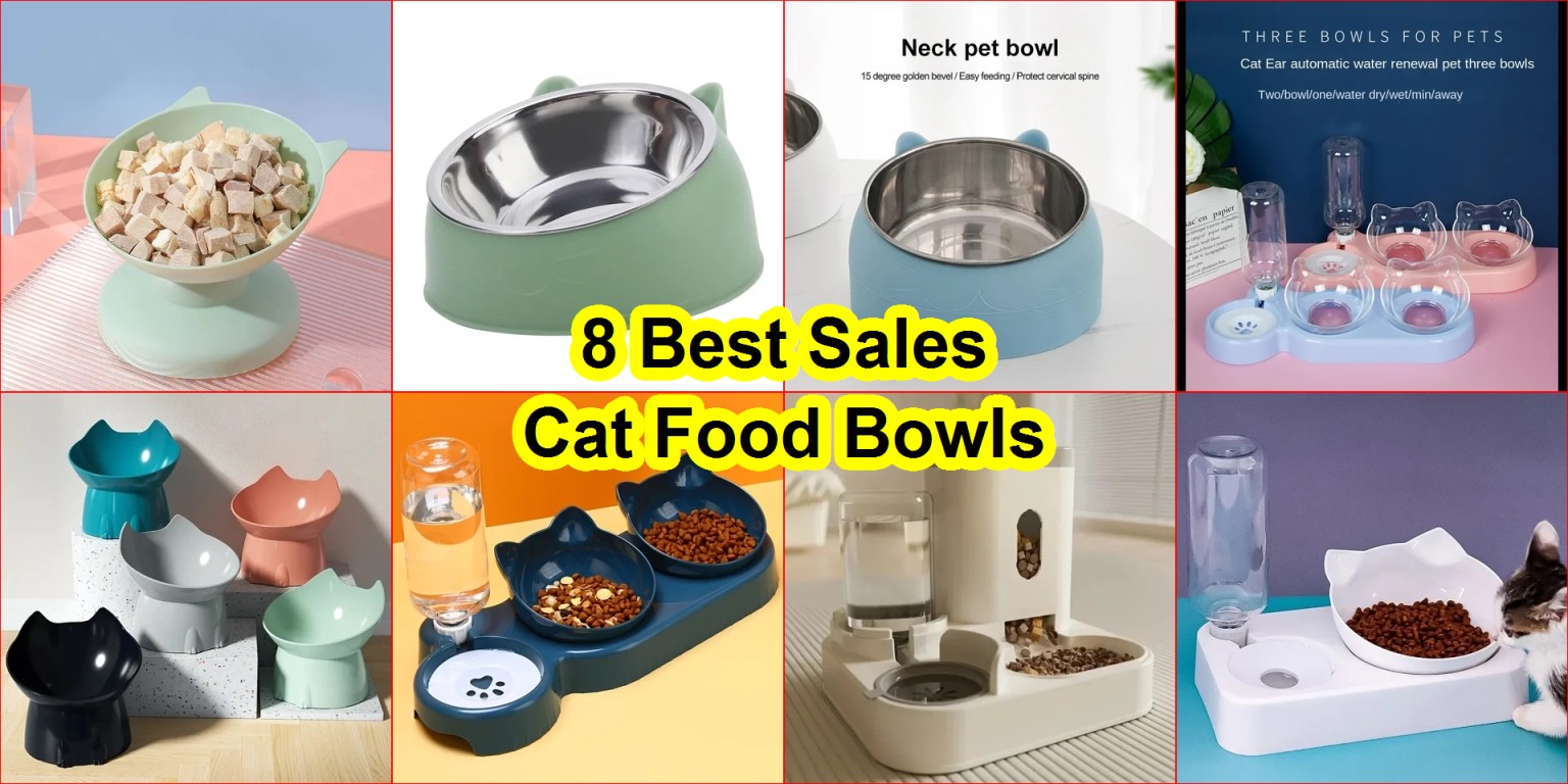 tilted cat bowl