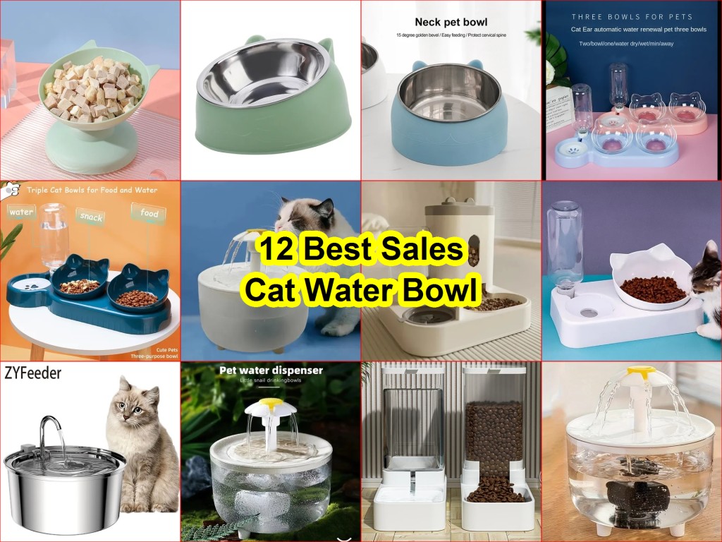 best pet bowls AliExpress