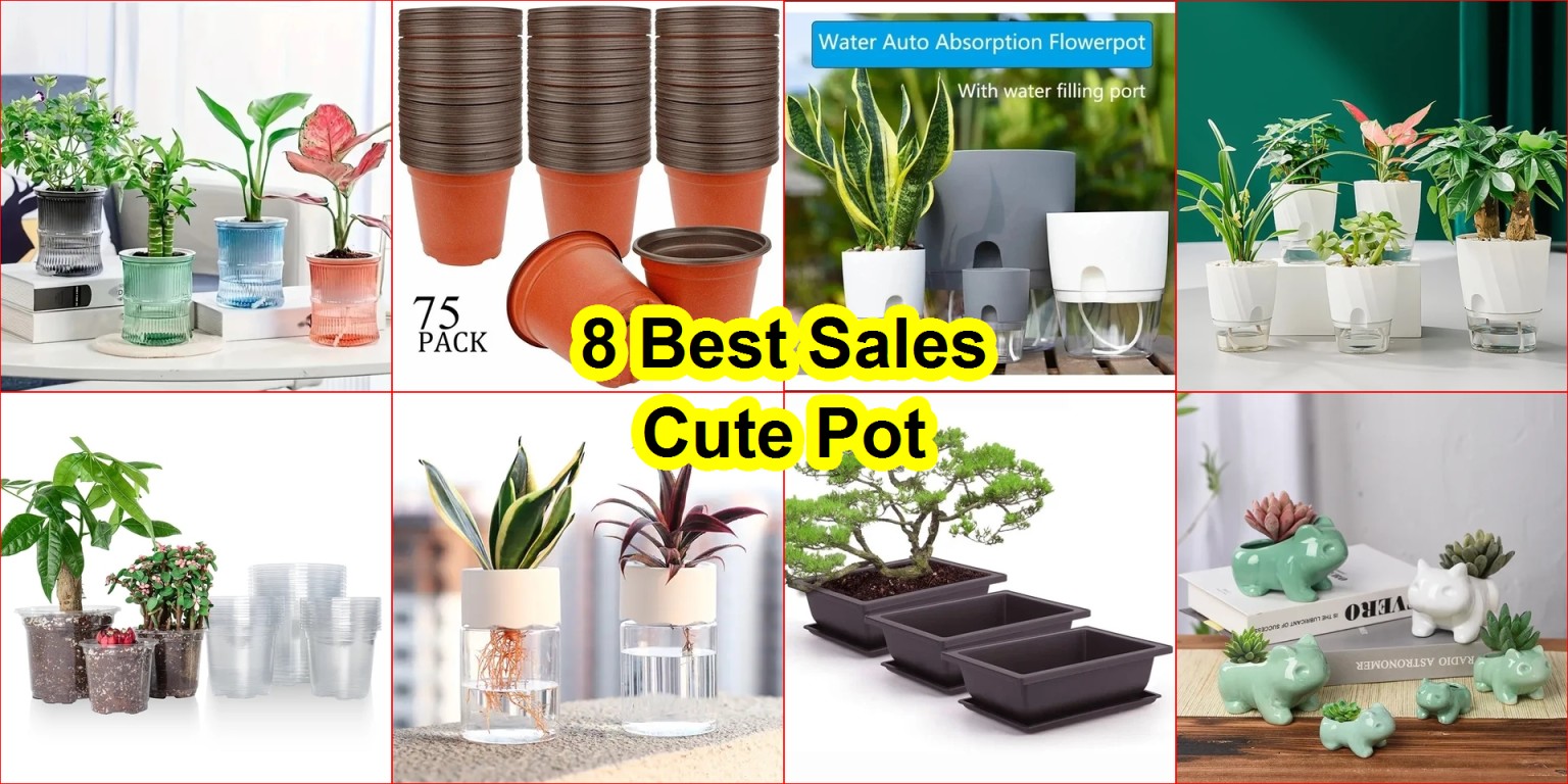 self-watering flower pot review
