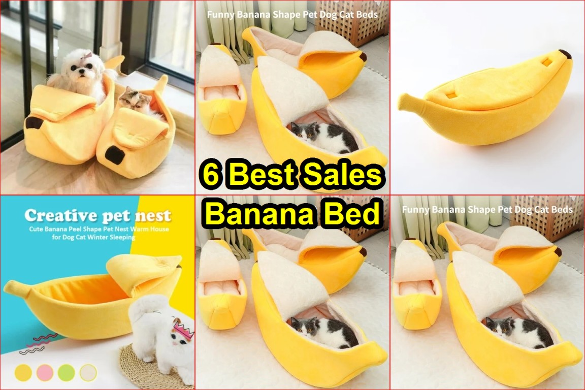 AliExpress pet bed review