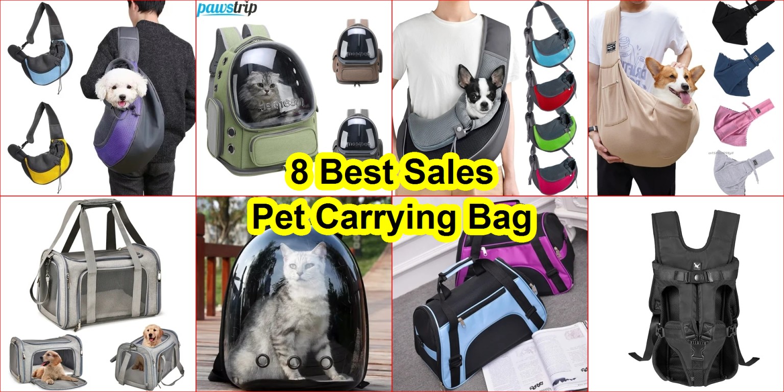 best pet backpacks