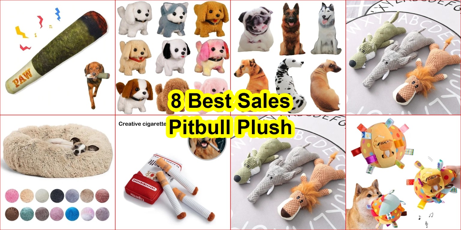 best AliExpress pet products