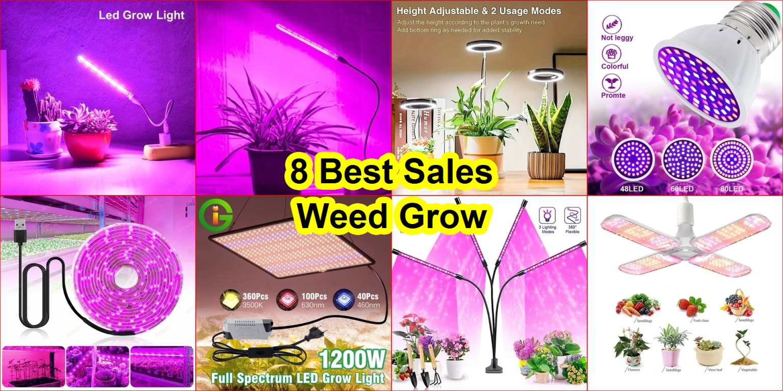 best LED grow lights 2025