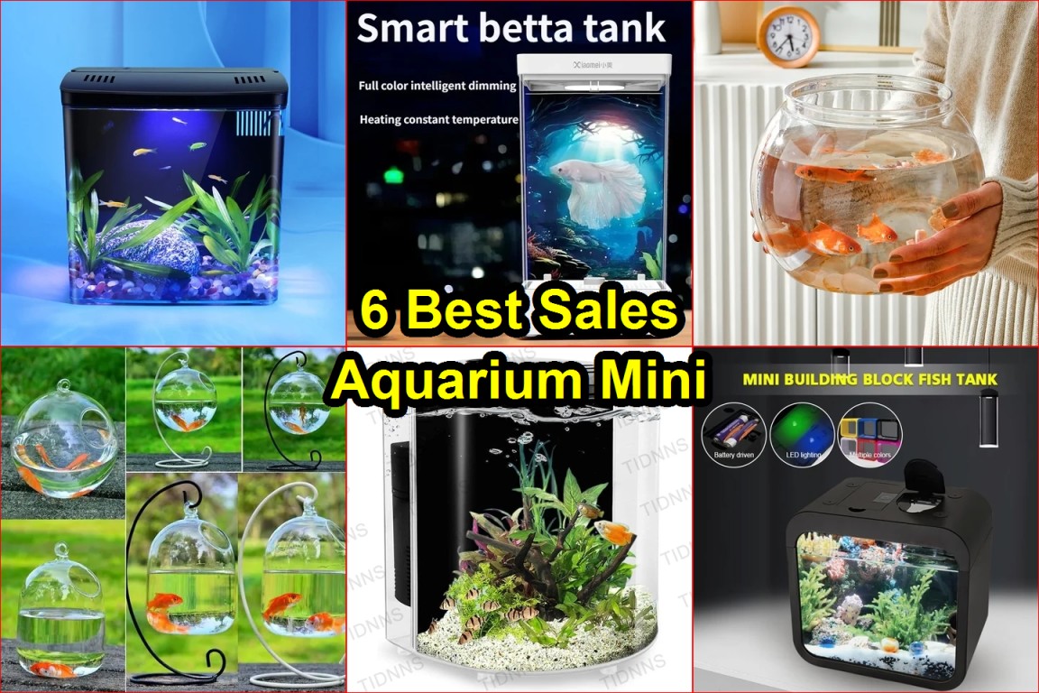 best mini aquarium
