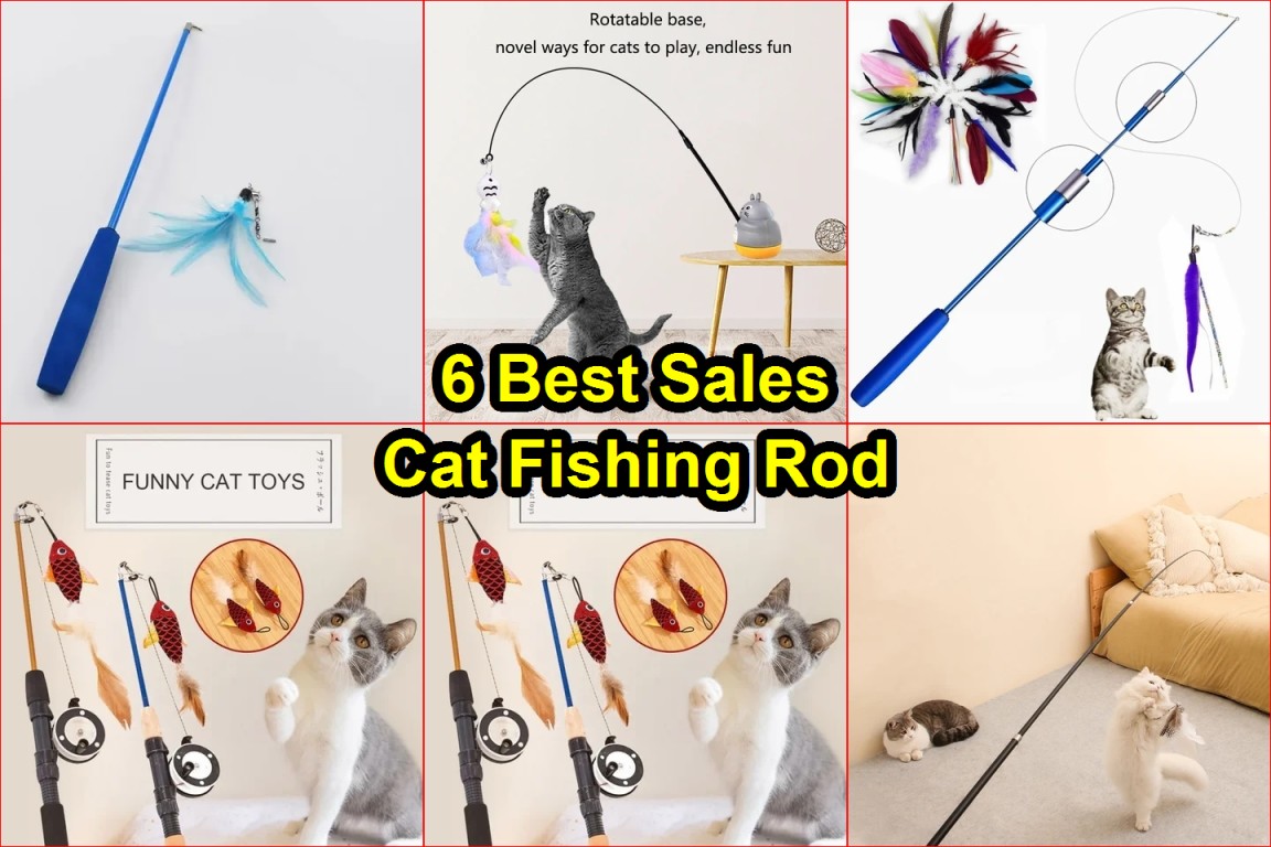 interactive cat toy reviews
