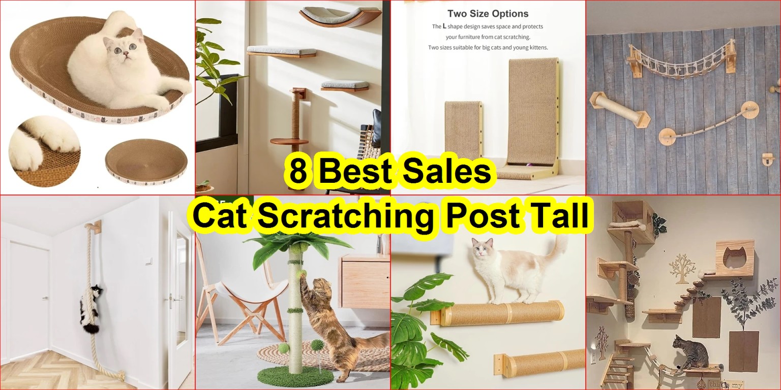 cat scratchers review