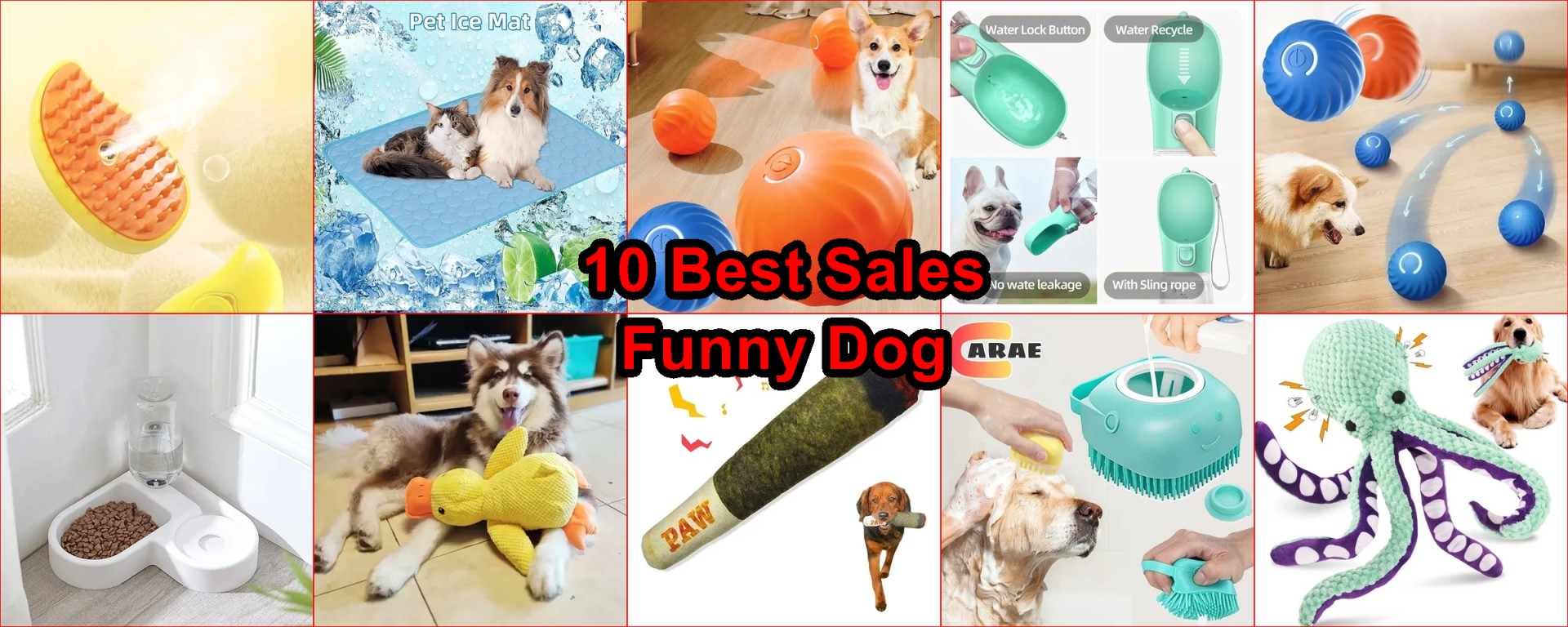 best AliExpress dog toys