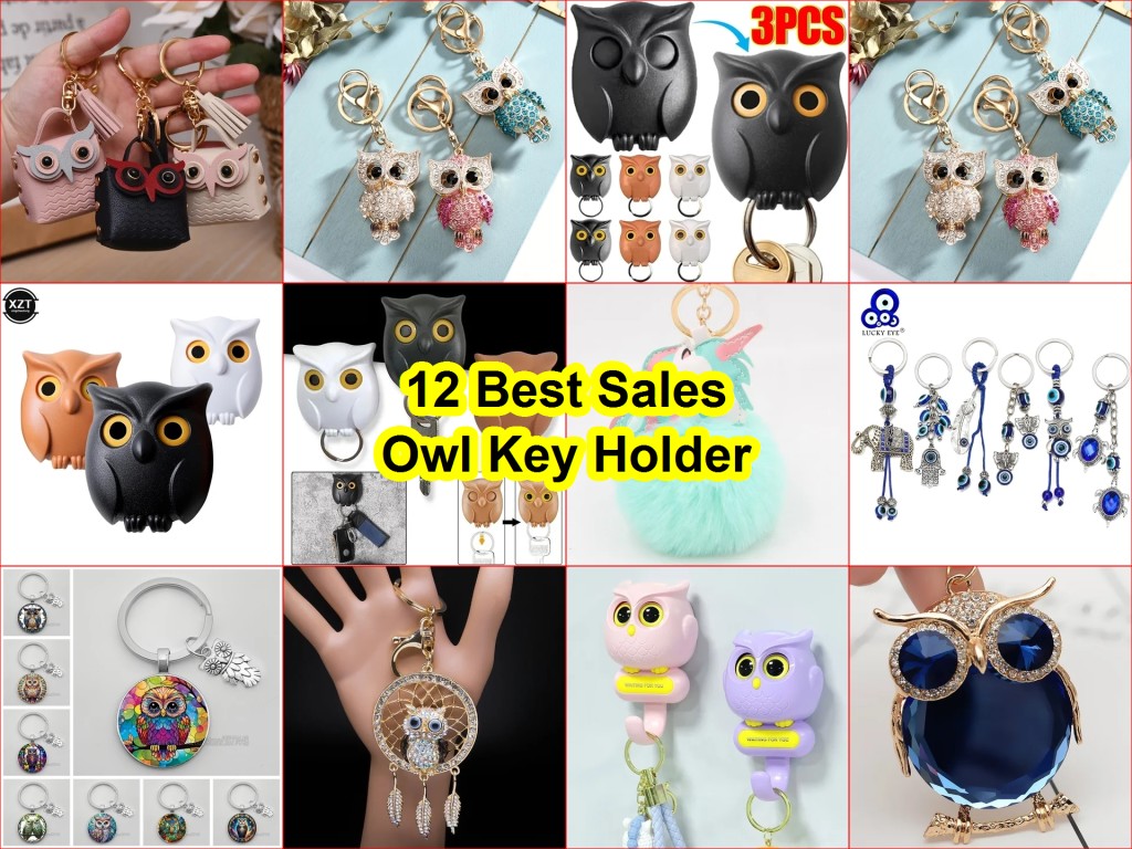 magnetic owl key holder
