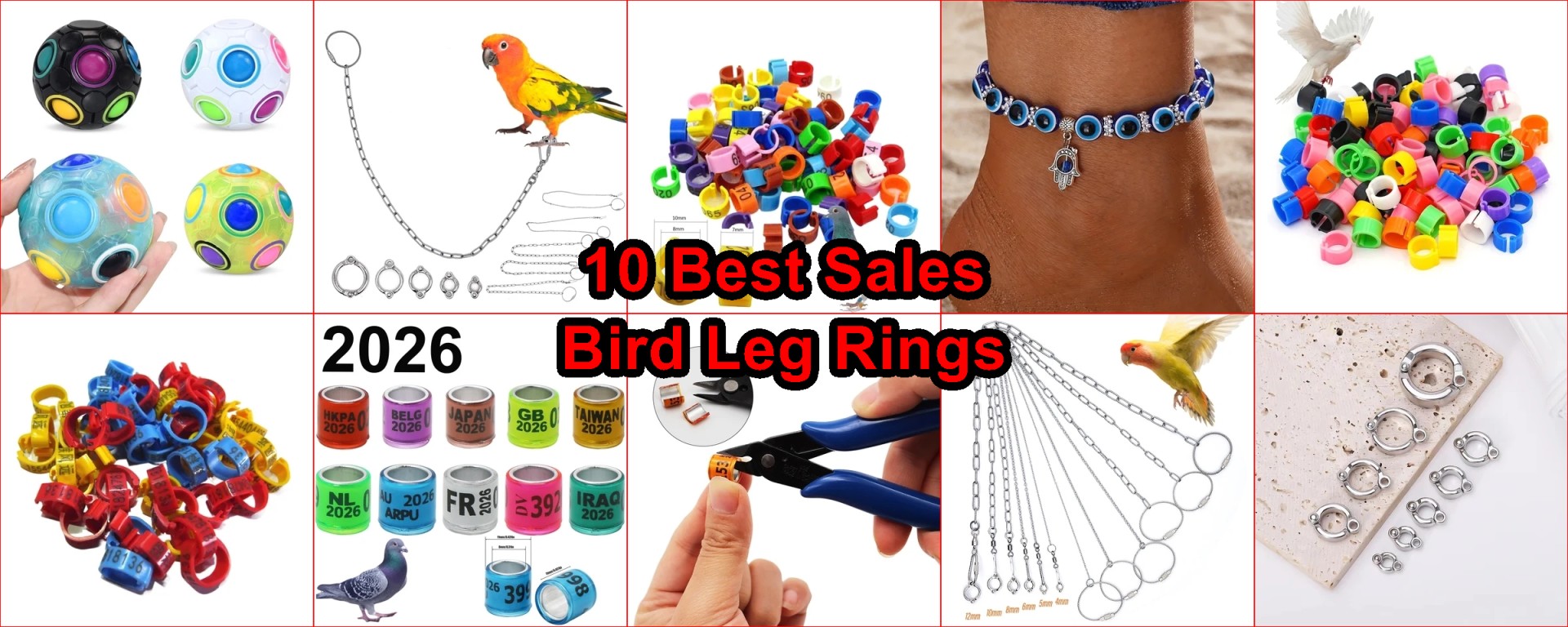 best AliExpress bird supplies