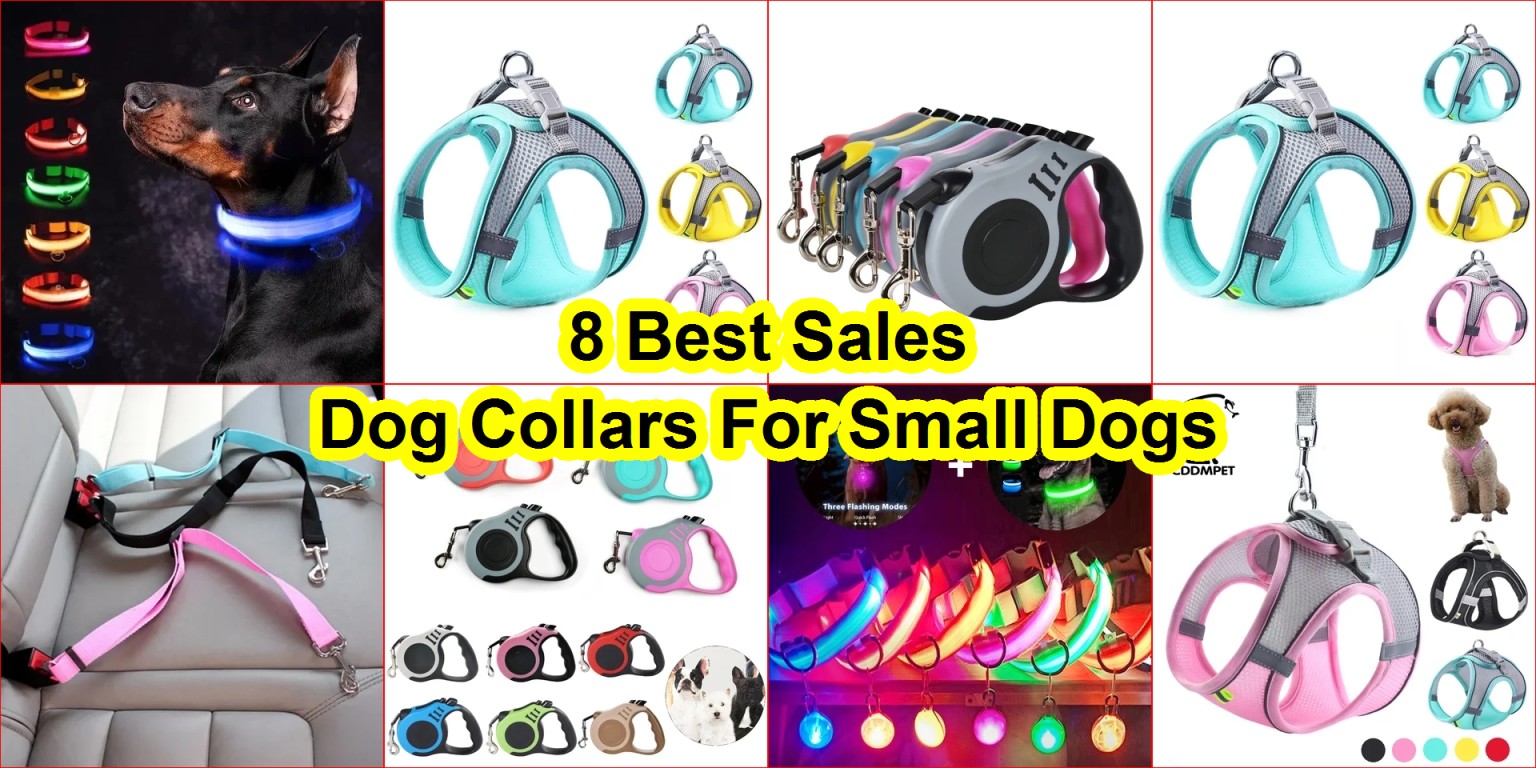 LED dog collar review