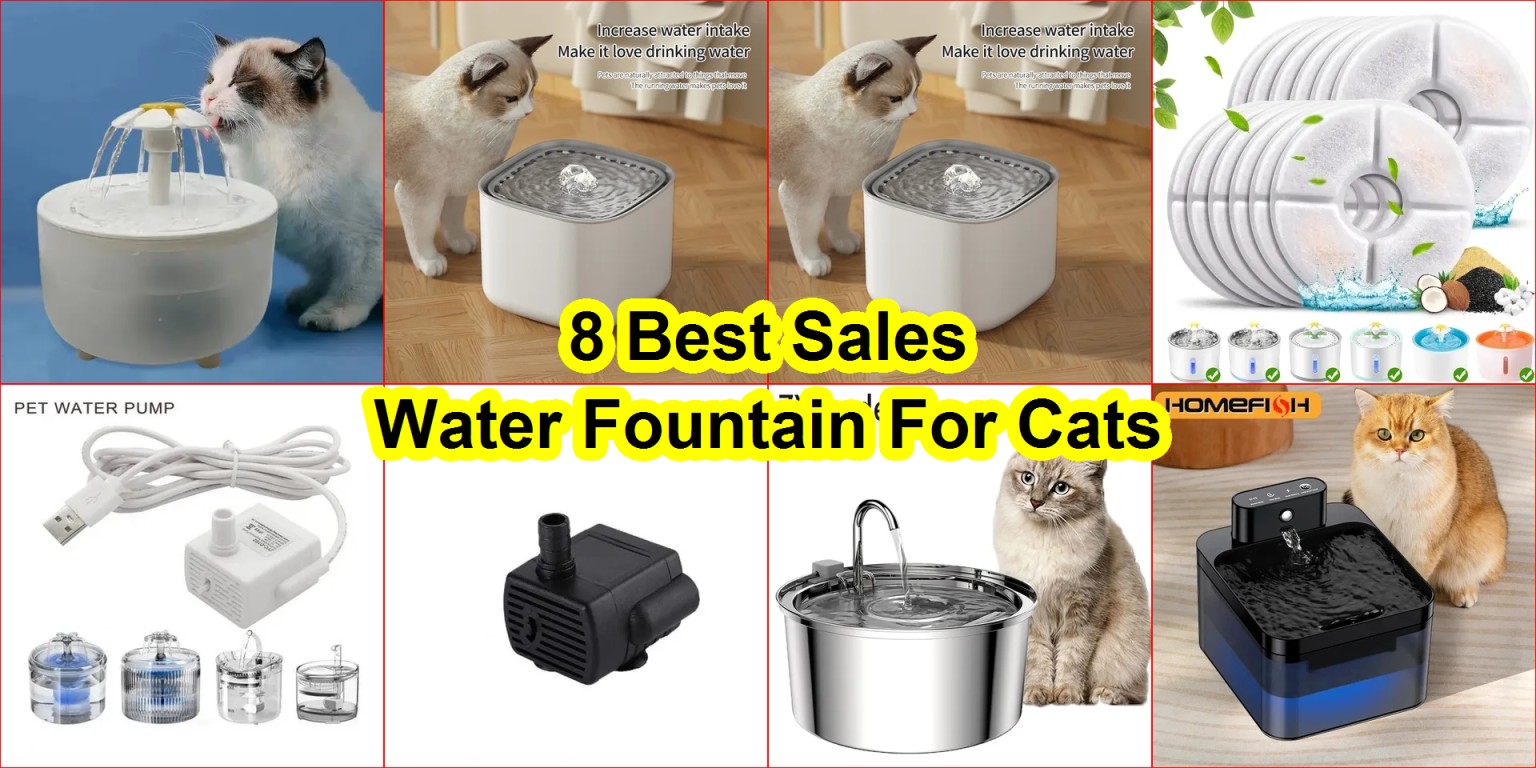 AliExpress pet fountain