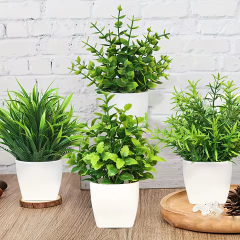 8 best sales houseplant - №4