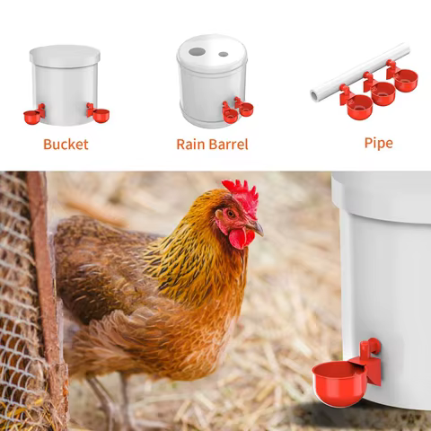 5/10/20 Pcs Automatic Poultry Drinking Bowl Chicken Waterer Cups Duck Drinking Machine Hanging Drinking Bowls Water Dispenser 10 best sales chicken drinker - №7