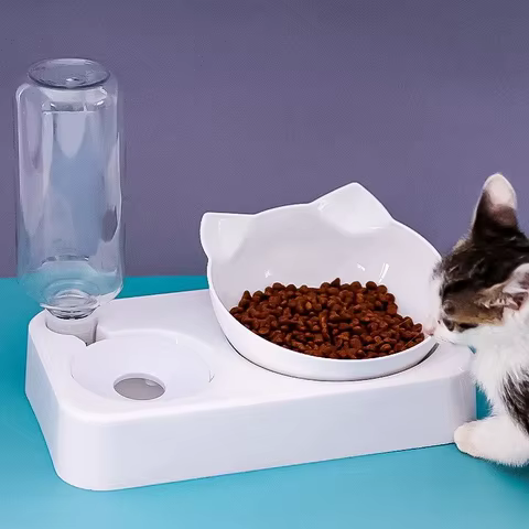 8 best sales cat food bowls - №8