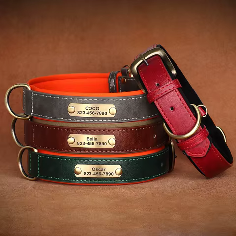8 best sales dog collar name - №5
