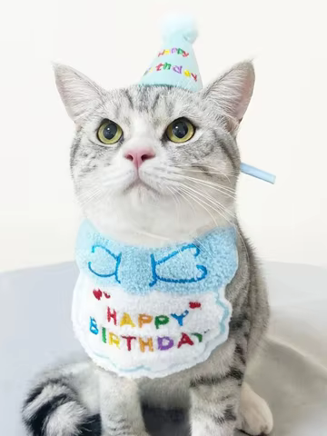 10 best sales cat hats - №4