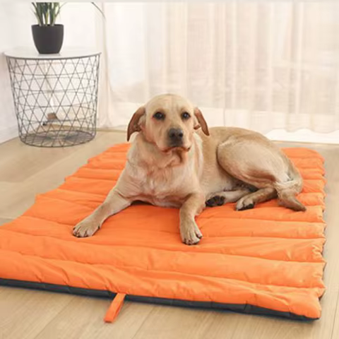 10 best sales carpet dog - №5