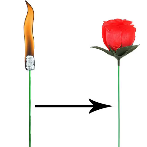 Magic Trick Rose Fun Present Torches Change Roses Magic Tricks Novelty Surprise Prank Joke Mystical Fun Toy 10 best sales rose magic - №2