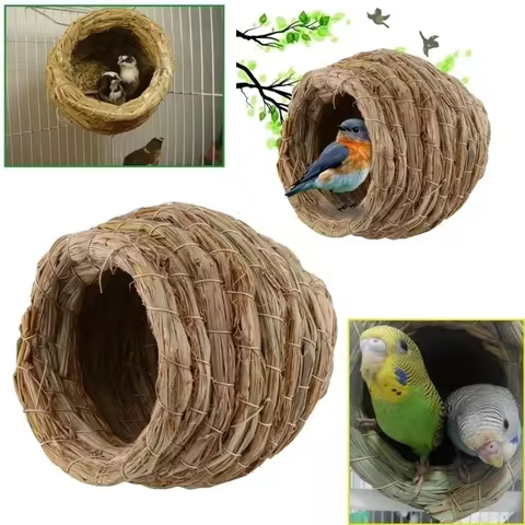 12 best sales birds nest - №2