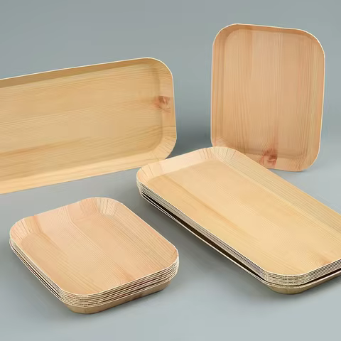 8 best sales disposable food tray - №5