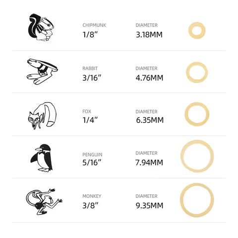 10 best sales orthodontic rubber bands - №8