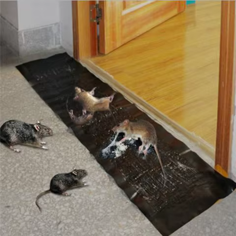 Mouse Board Sticky Mouse Rat Glue Trap Mouse Glue Board Mice Catcher Non-toxic Control Reject Mouse Killer Mice Killer 10 best sales mouse catcher - №9