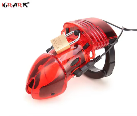 10 best sales erection cage - №2