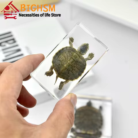 8 best sales taxidermy animals - №3