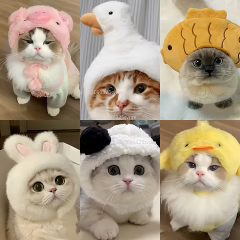 10 best sales cat hats - №9