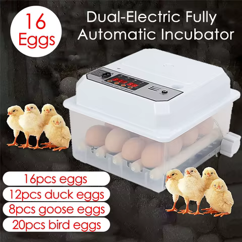 6 best sales brooder - №3