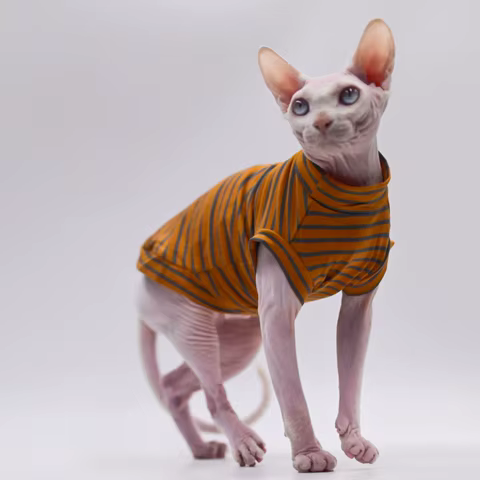 12 best sales cat vest - №11