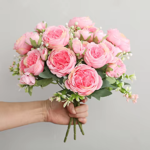 10 best sales rose wall - №3