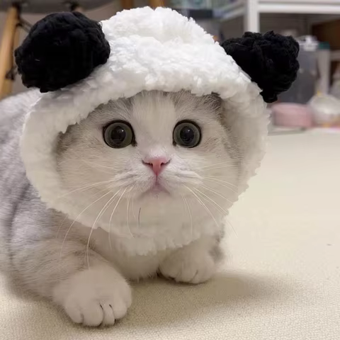 10 best sales cat hats - №3