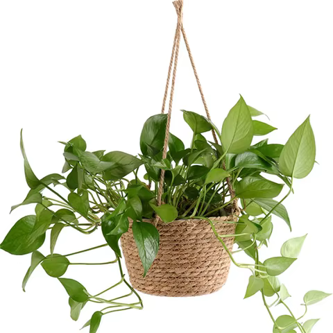 8 best sales hanging basket storage - №3