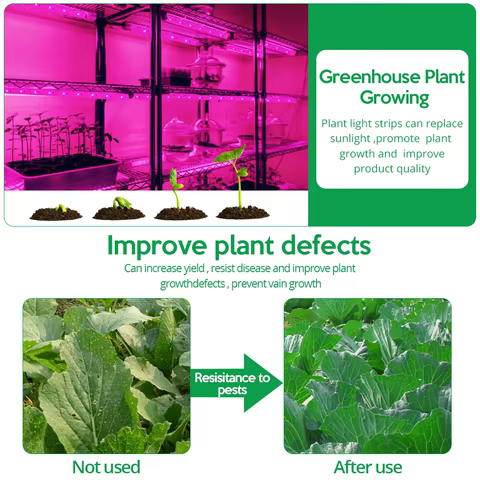 LED Grow Light Full Spectrum 5V USB Grow Light Strip 2835 LED Phyto Lamps For Plants Greenhouse Hydroponic Growing Lamp 1M 2M 3M 8 best sales growbox 40x40 - №3