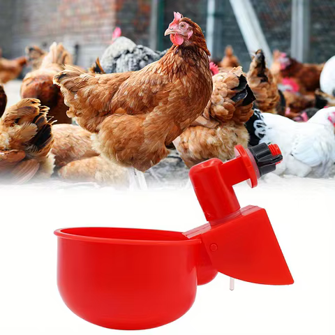 Chicken Drinking Bowl Drinking Water Quail Poultry Automatic Water Dispenser Duck and Pigeon Free Range Chicken 10 best sales chicken drinker - №1