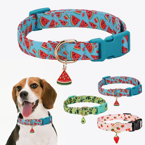 12 best sales dog collar metal - №9