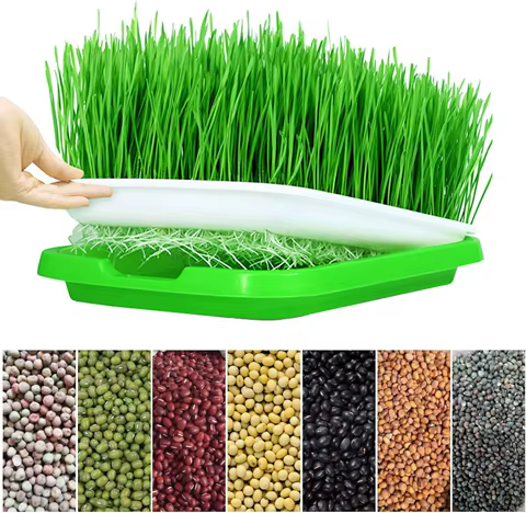 8 best sales hydroponic garden system - №5