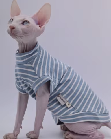 12 best sales cat vest - №2